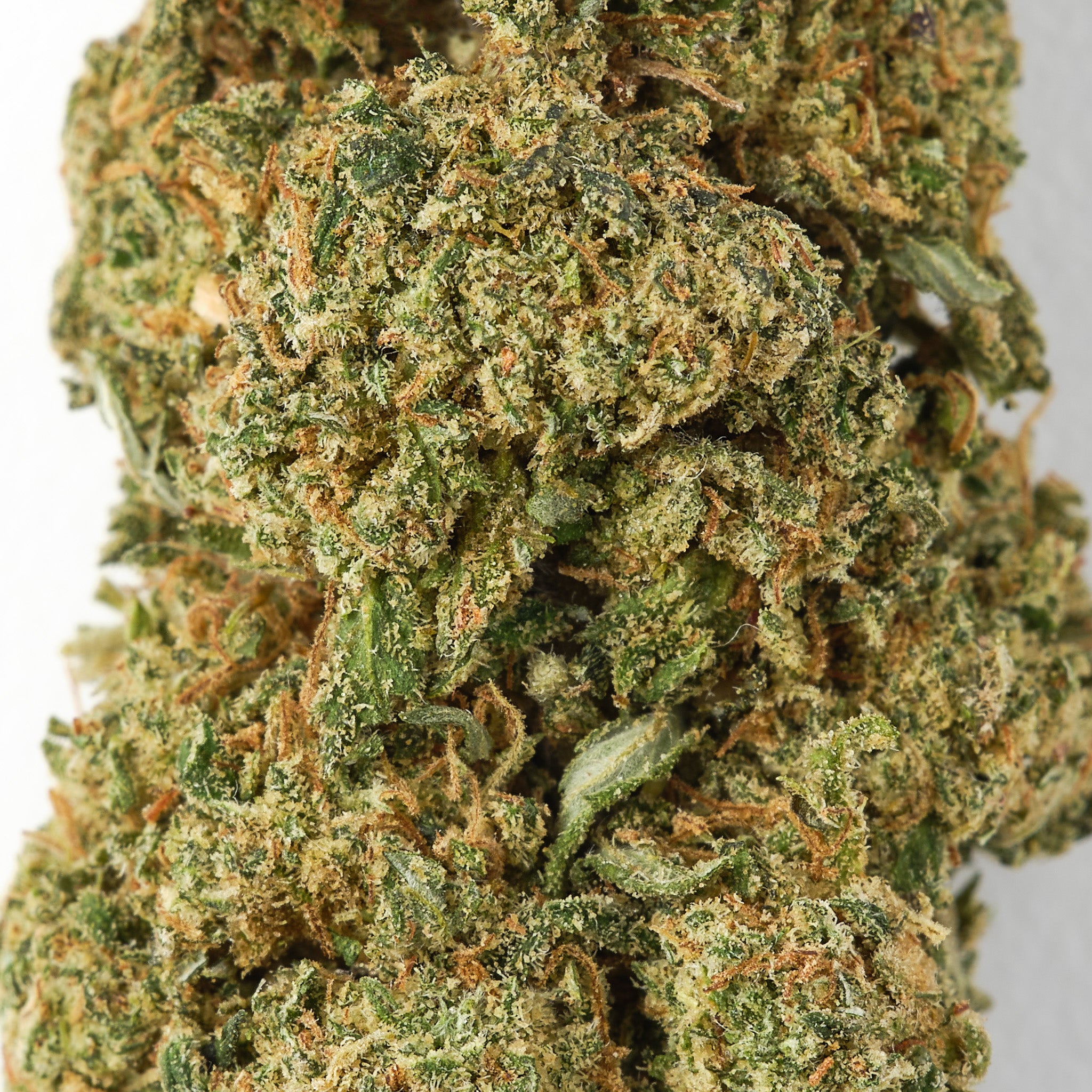 Zkittles - CBD Flower - Glasshouse