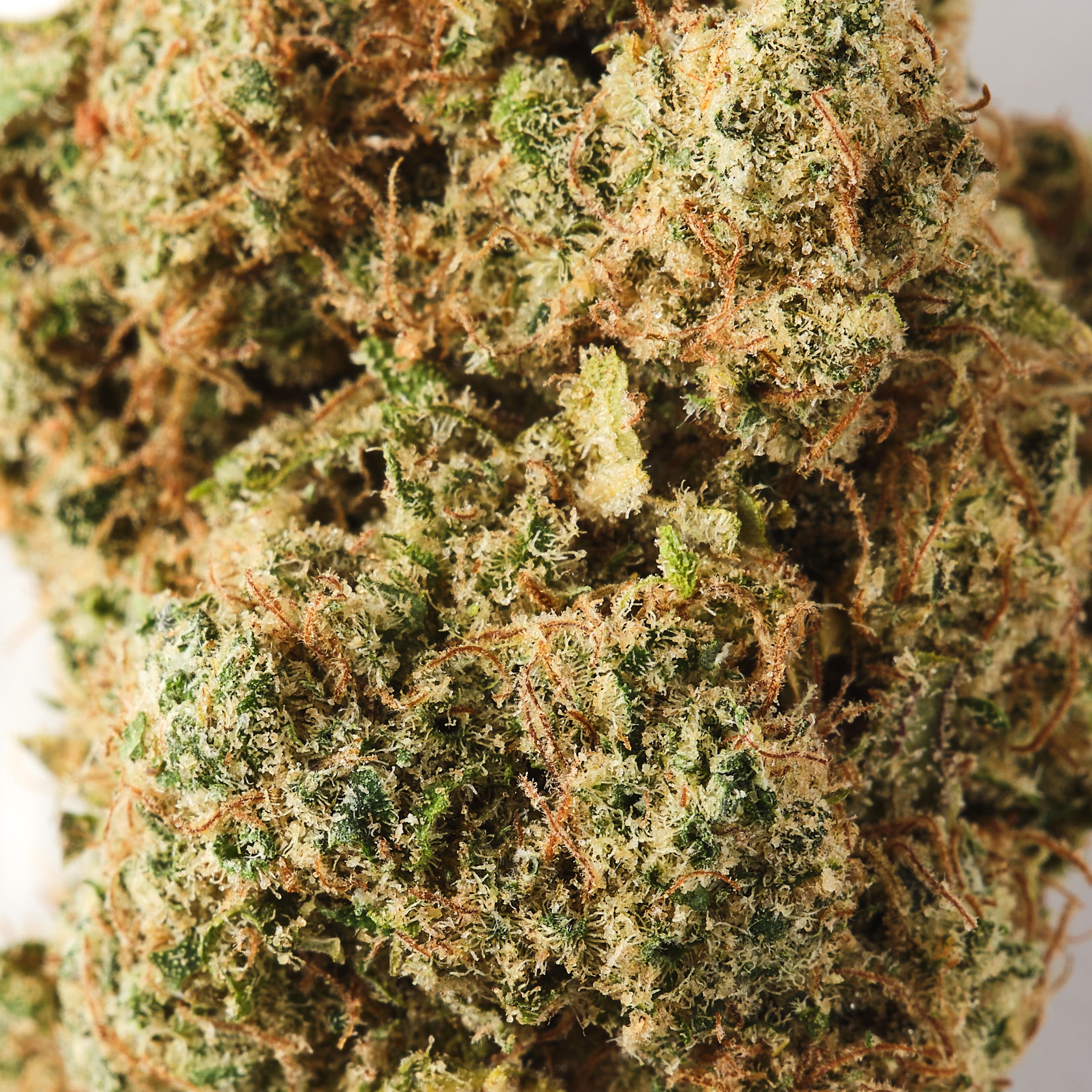 FOG - CBD Flower - Indoor