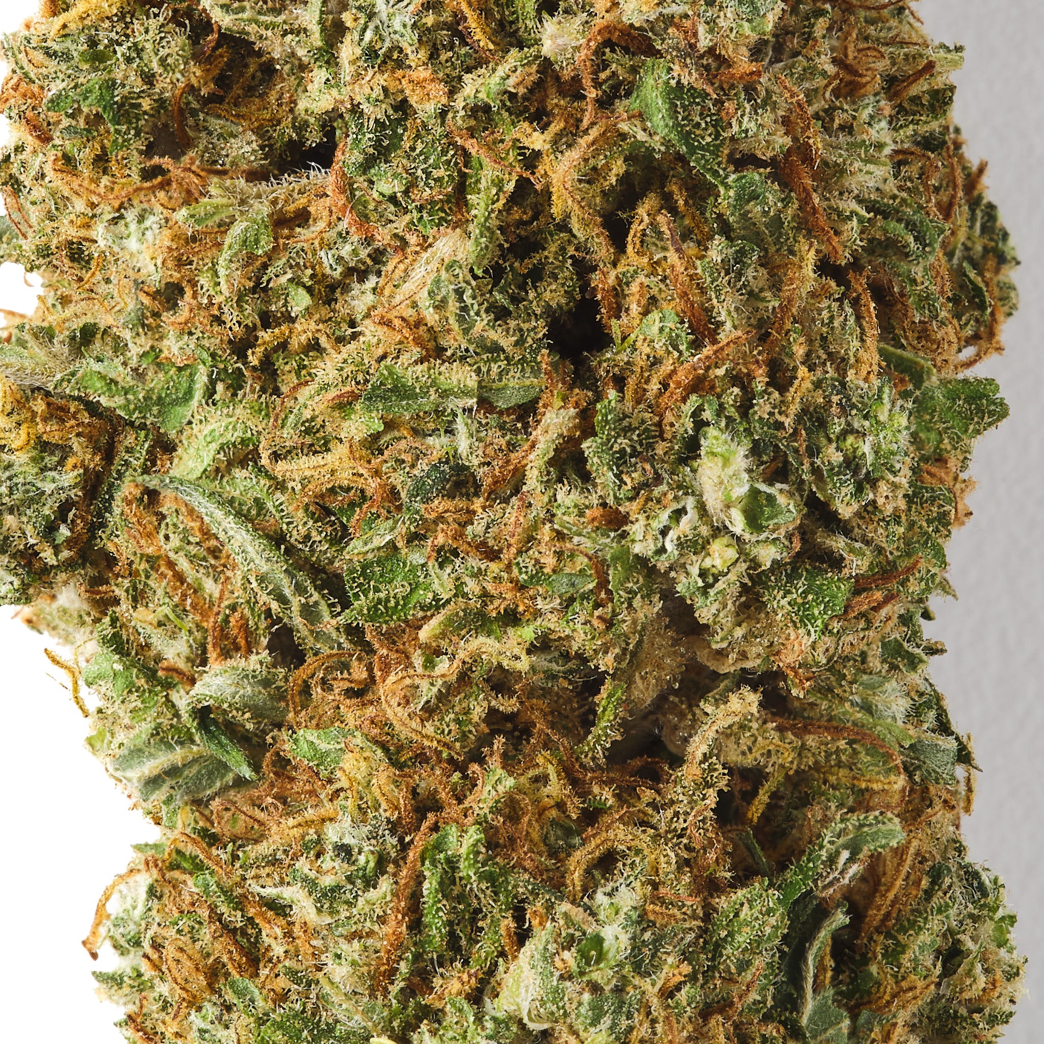 Mango Kush - CBD Flower - Glasshouse