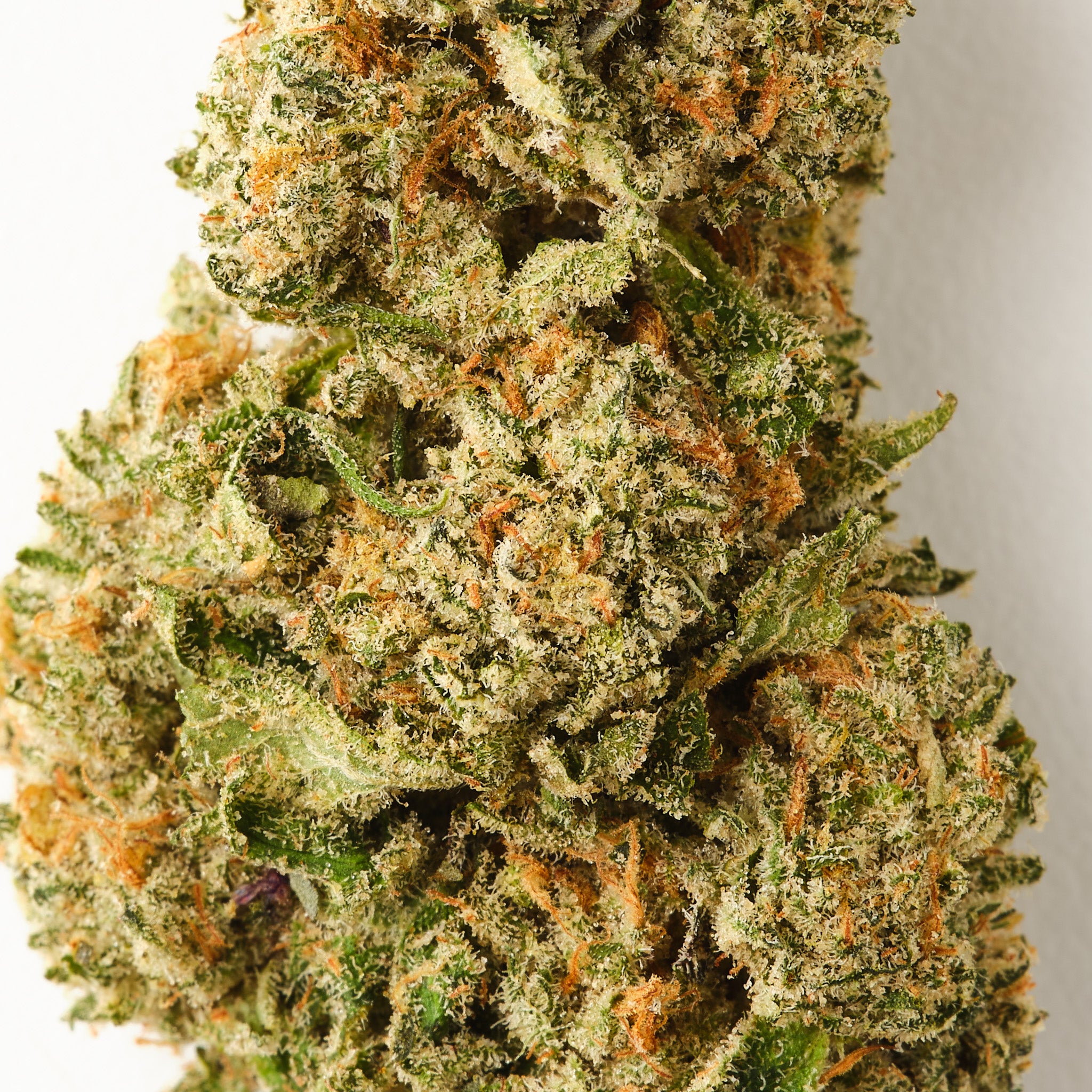 Snowing In The Dam - CBD Flower - Indoor