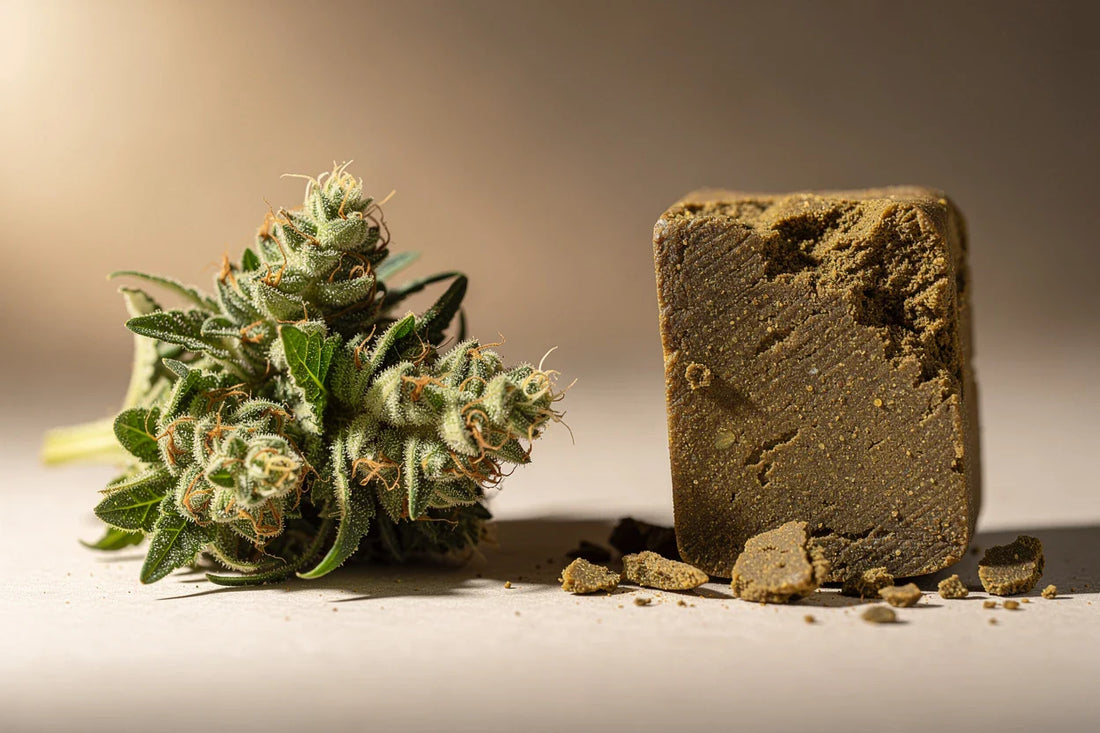 CBD flowers VS CBD hash: differences & effects