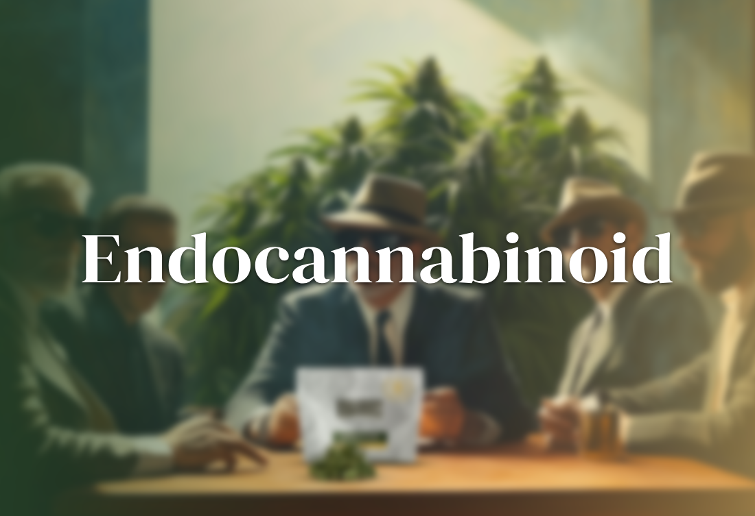 Endocannabinoid