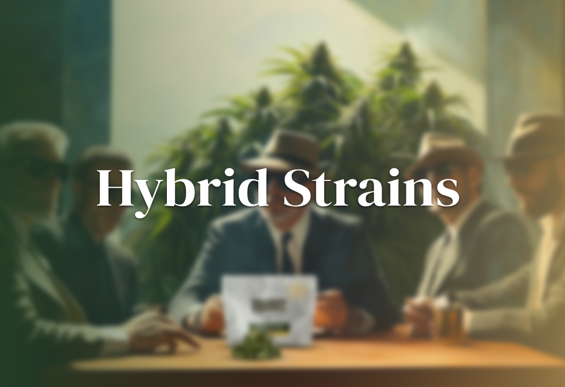 Hybrid Strains