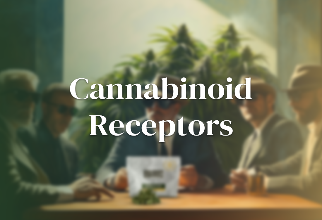Cannabinoid Receptors