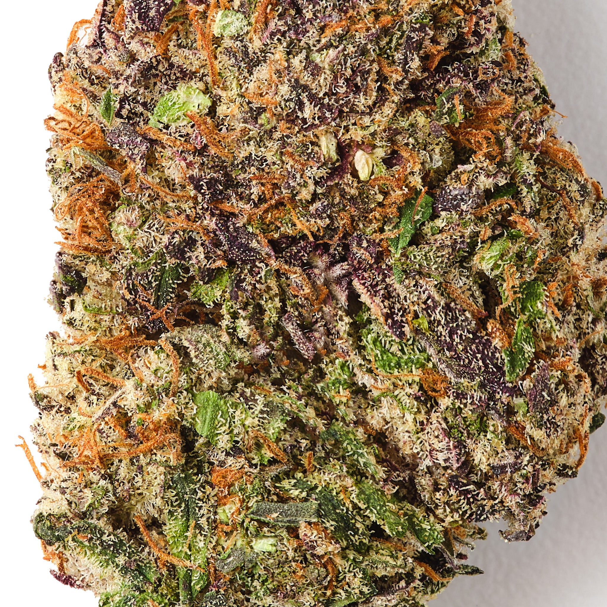 Bubba Kush - CBD Flower - Indoor