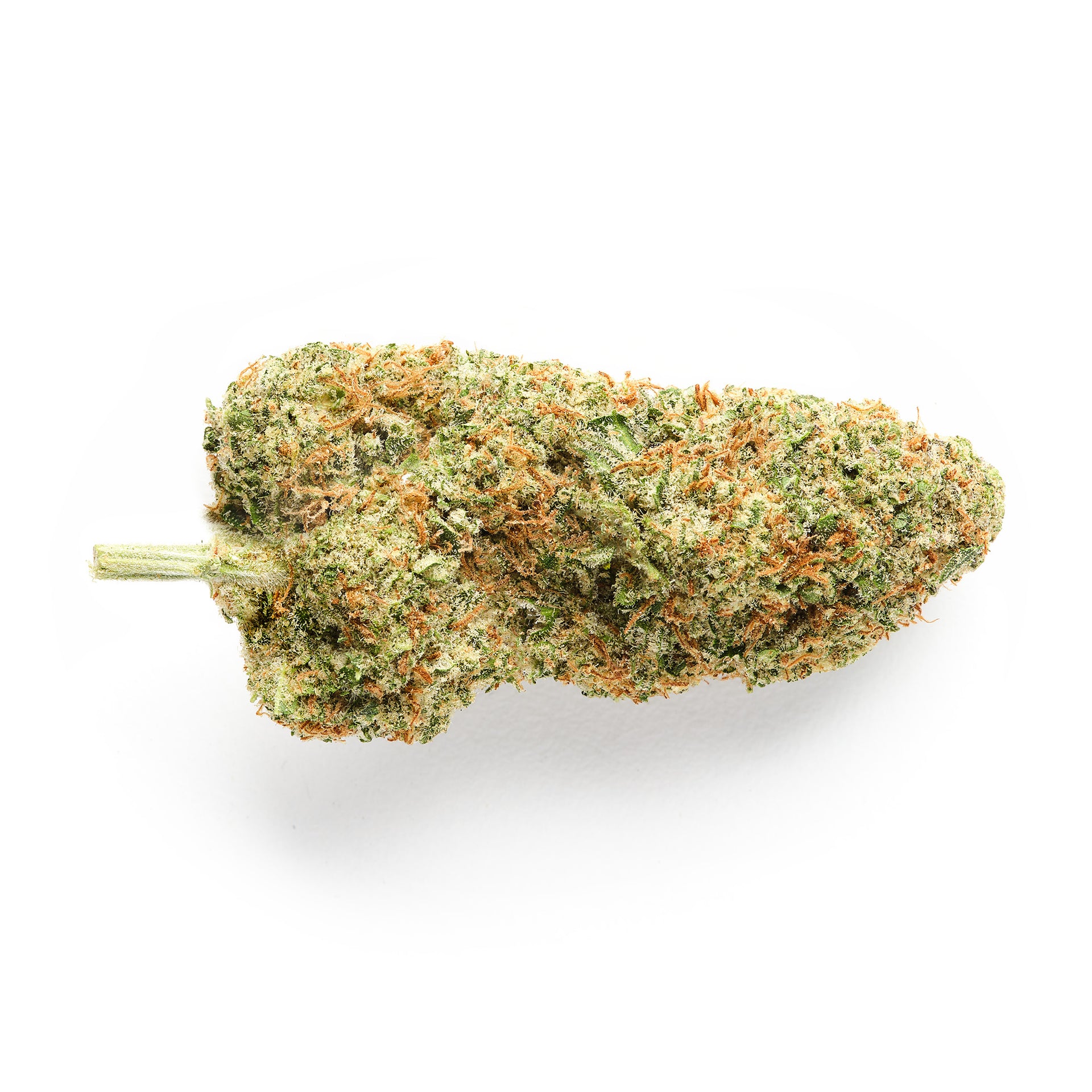 Swiss Cheese CBD Flower Indoor