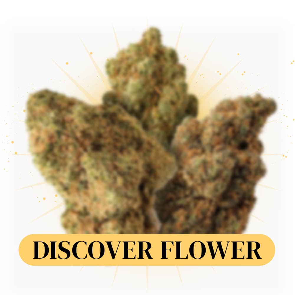 Discover-Flower-Bundle