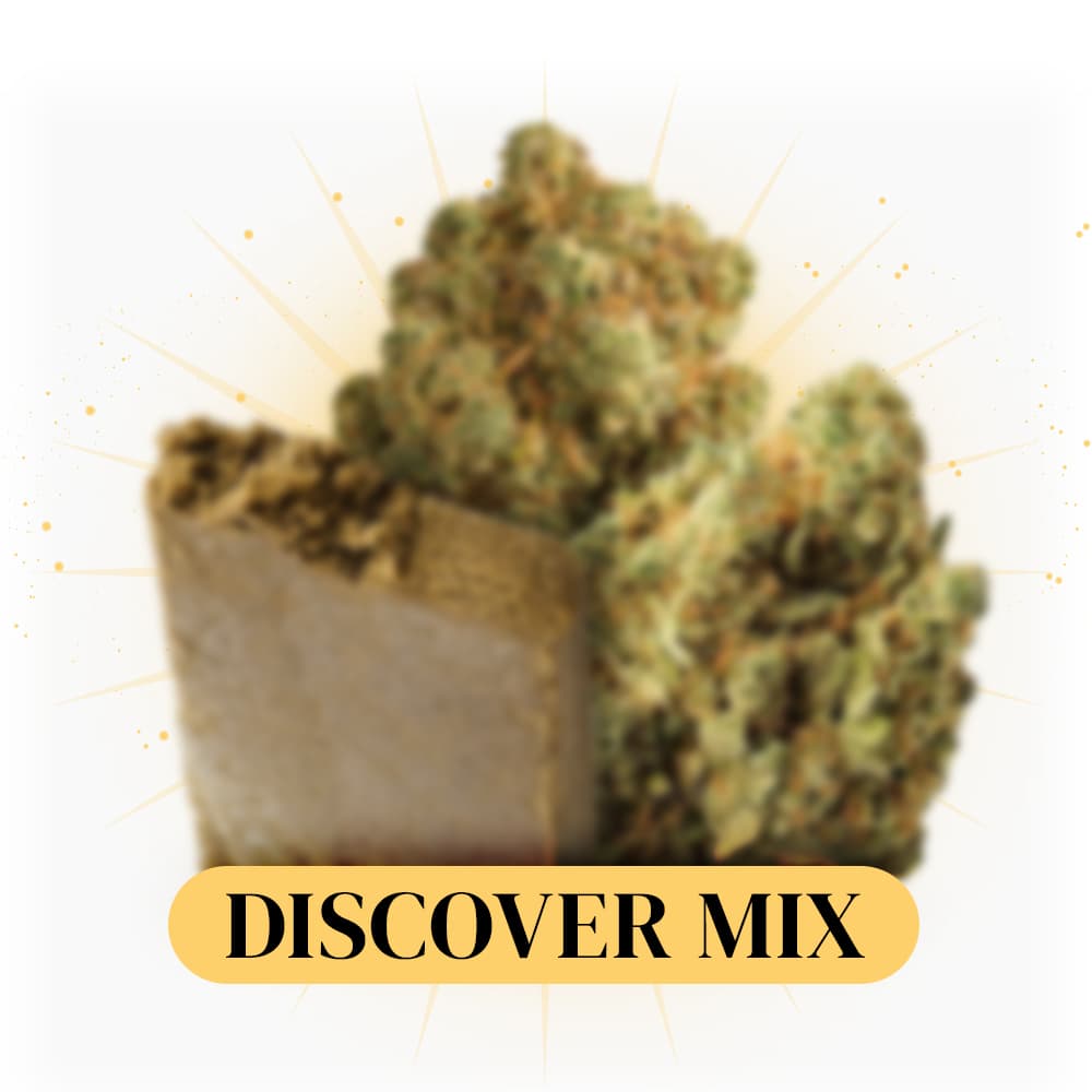 Bundle Discovery CBD Mix