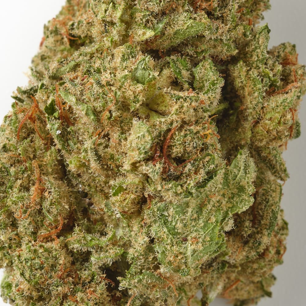 Forbidden Fruit - CBD Flower - Indoor