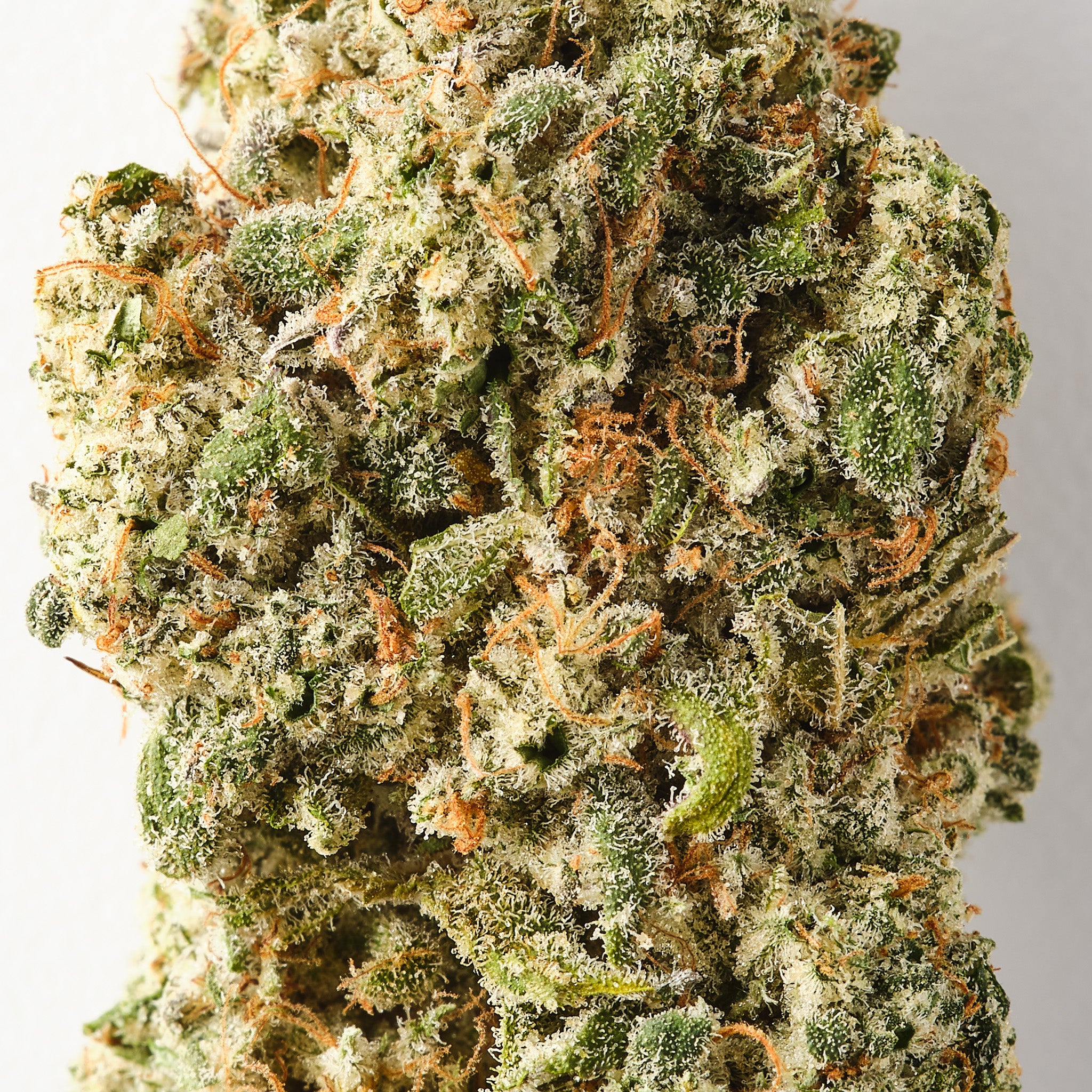 GOATzilla - CBD Flower - Indoor