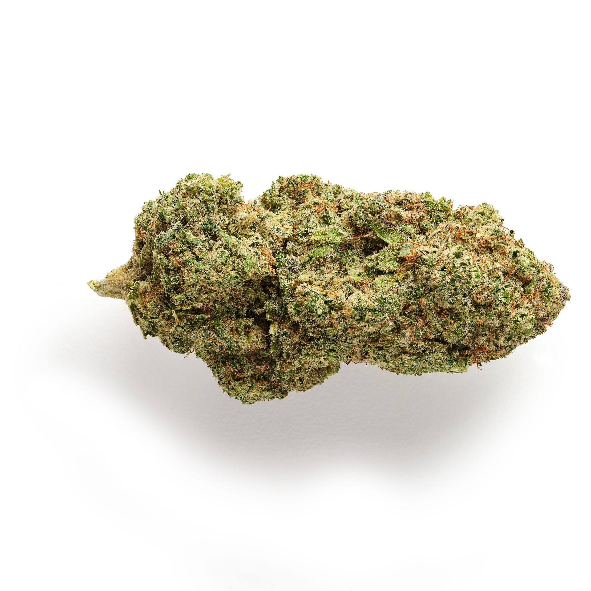 Harlequin CBD Flower Indoor