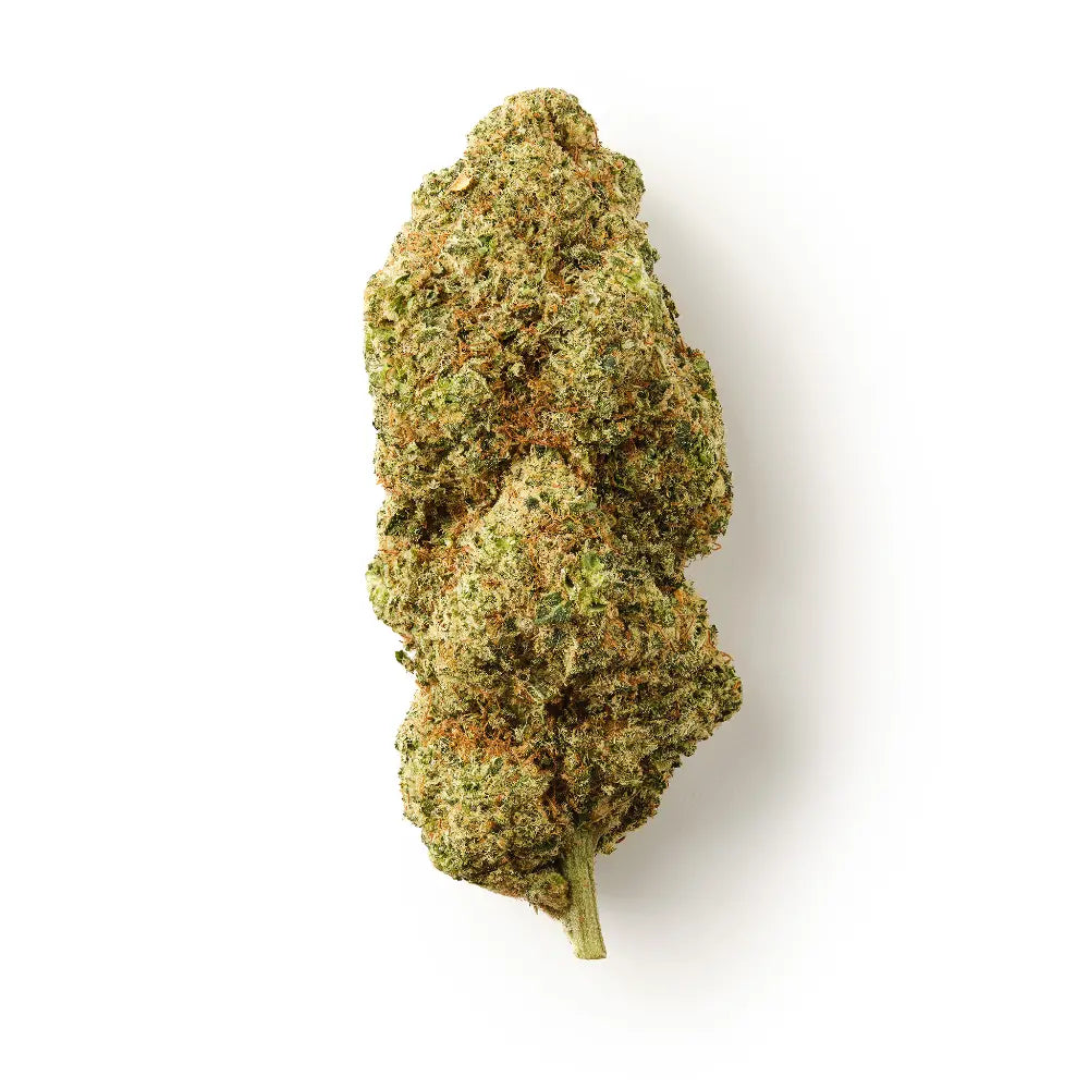 Orangello - CBD Flower - Indoor