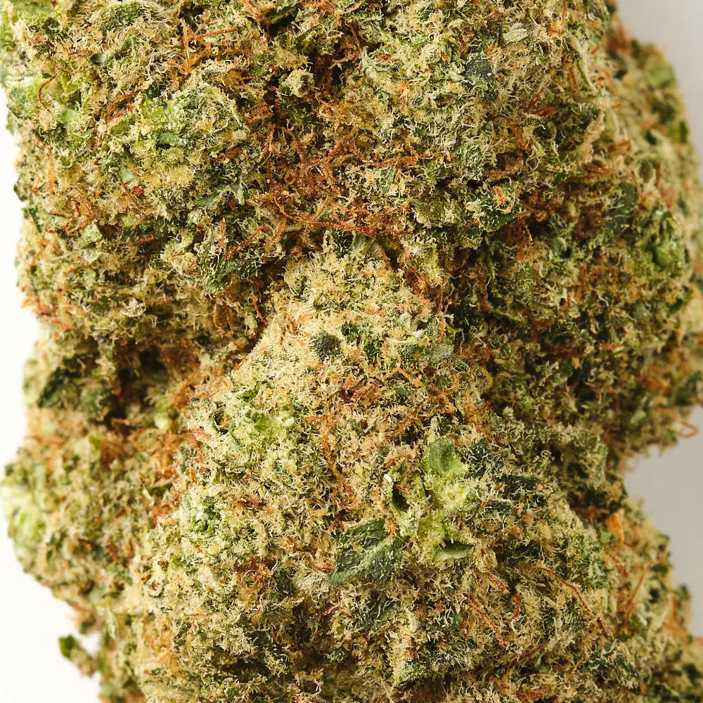 Orangello - CBD Flower - Indoor