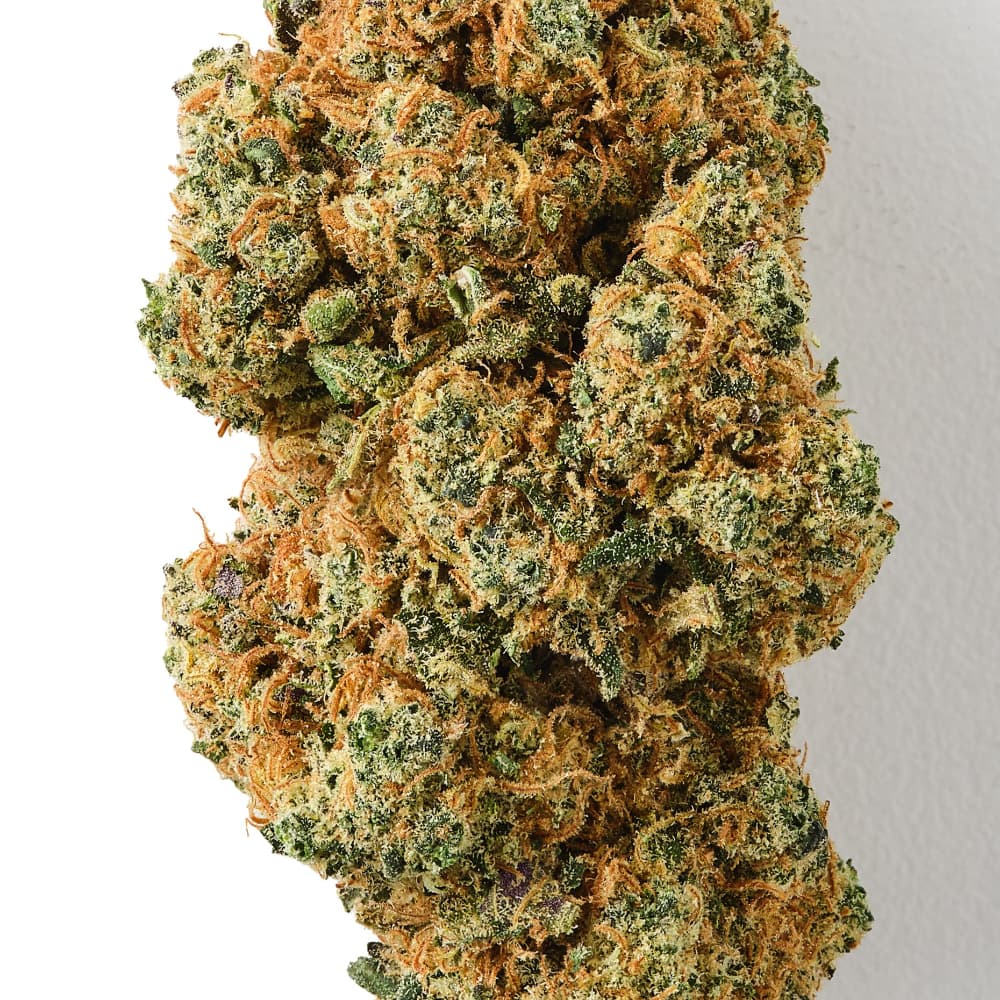 Raspberry Muffin - CBD Flower - Indoor - 16% CBD