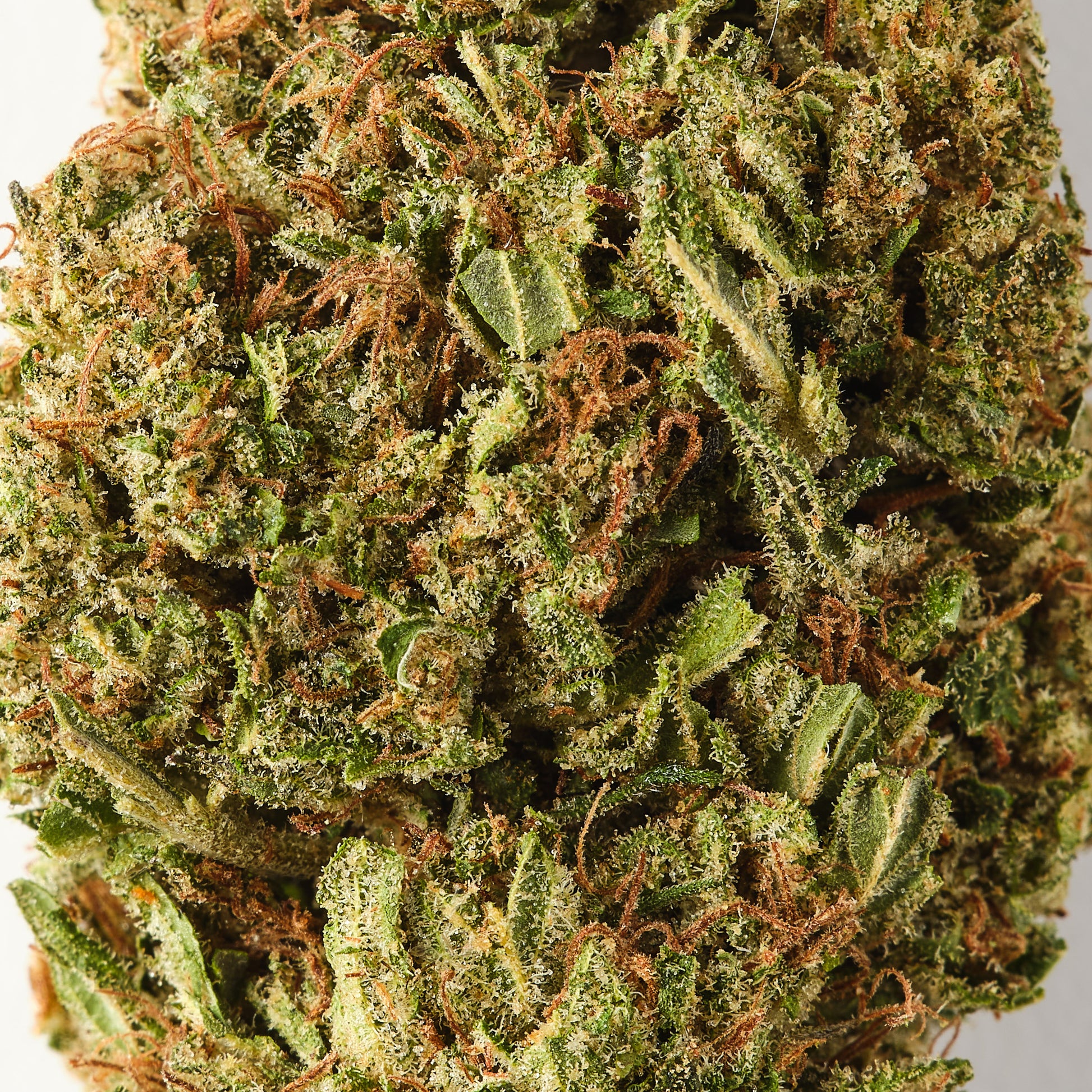 Royal OG CBD Flower - USA-Grown Premium Aroma - Bud Bros