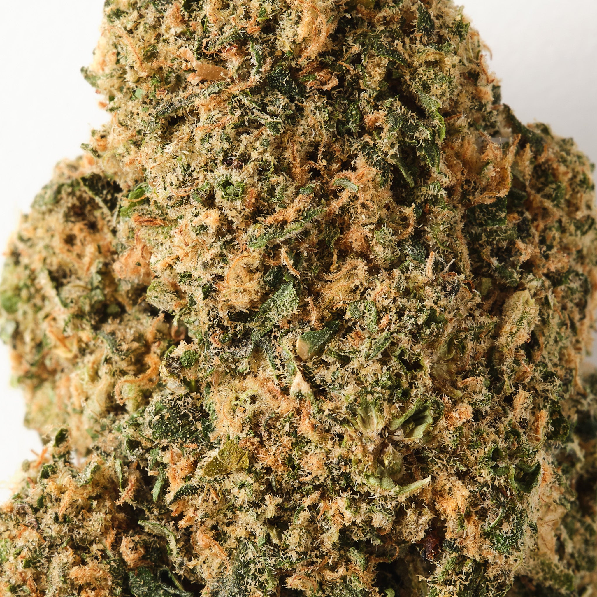Slurp CBD Flower – Tropical Hybrid Excellence | Bud Bros UK