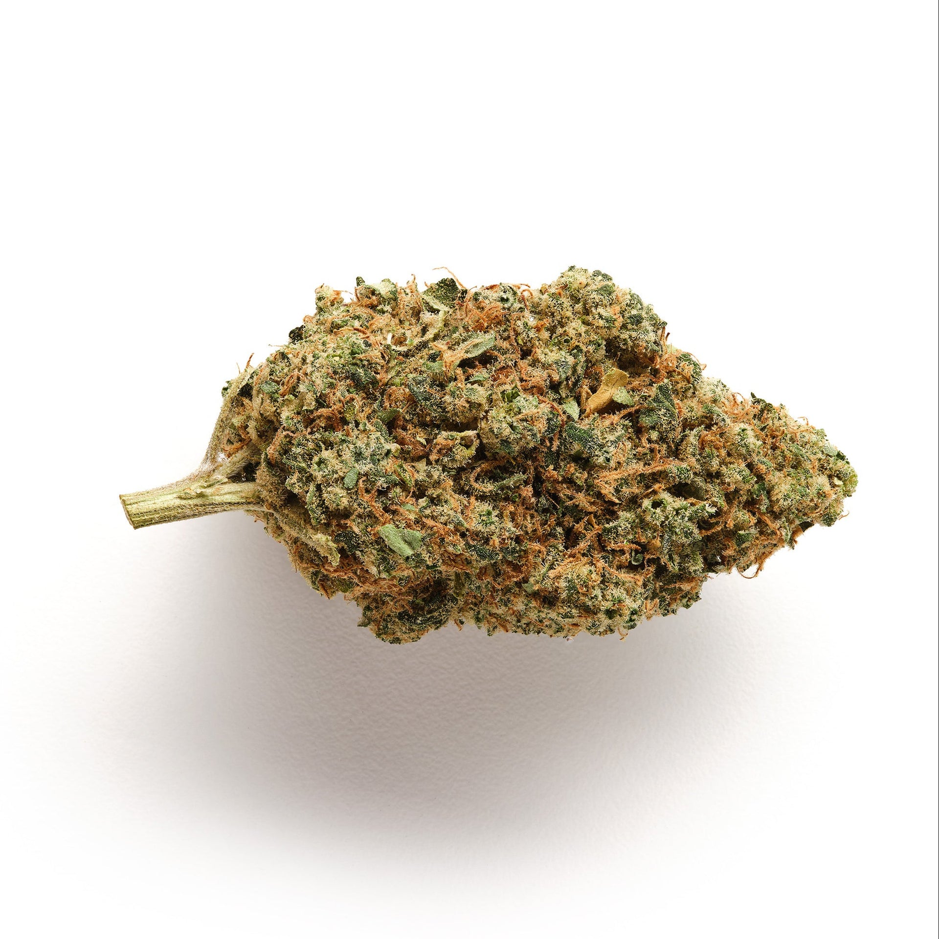 Solero CBD Flower Indoor