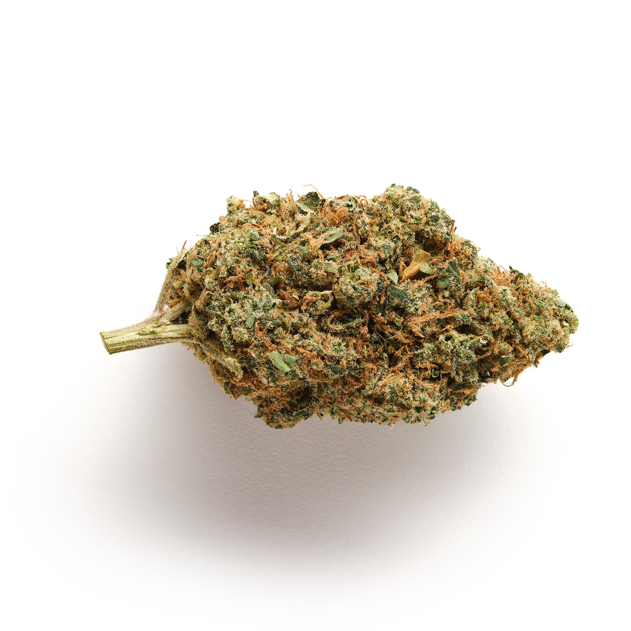 Solero Cream - CBD Flower - Indoor