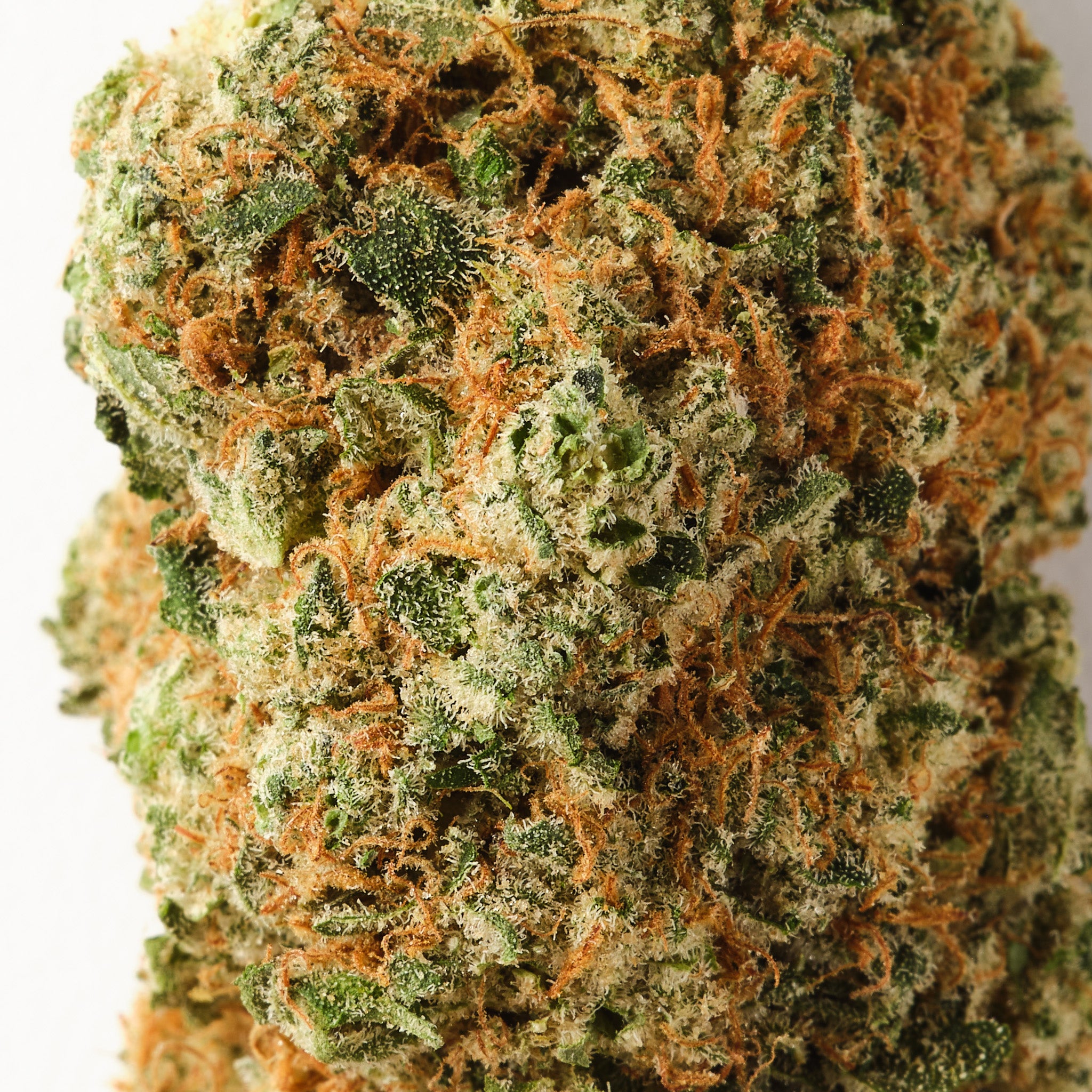 Teriyaki Sauce - CBD Flower - Indoor