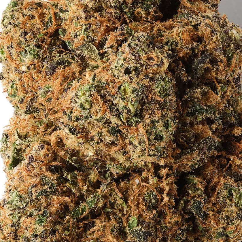 Tropical Dream - CBD Flower - Indoor - 14% CBD