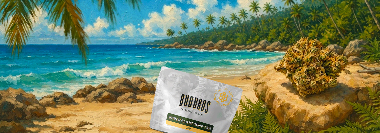 budbros UK
